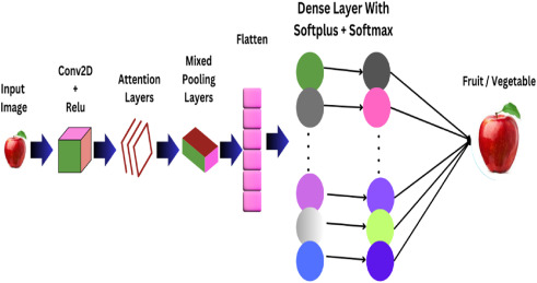 Fruits and Vegetables